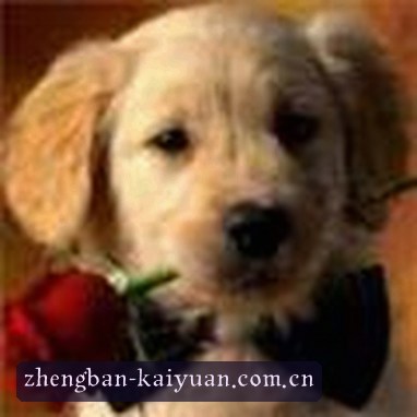 孙杰